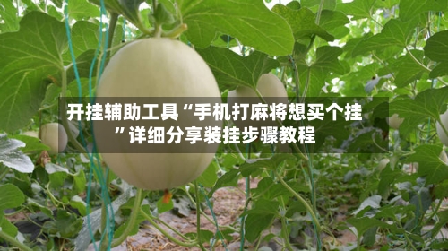 开挂辅助工具“手机打麻将想买个挂	”详细分享装挂步骤教程-第1张图片