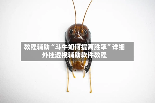 教程辅助“斗牛如何提高胜率”详细外挂透视辅助软件教程-第1张图片