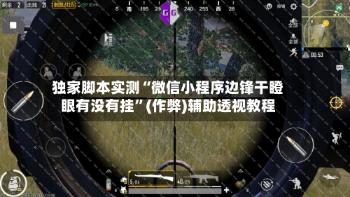 独家脚本实测“微信小程序边锋干瞪眼有没有挂	”(作弊)辅助透视教程-第1张图片