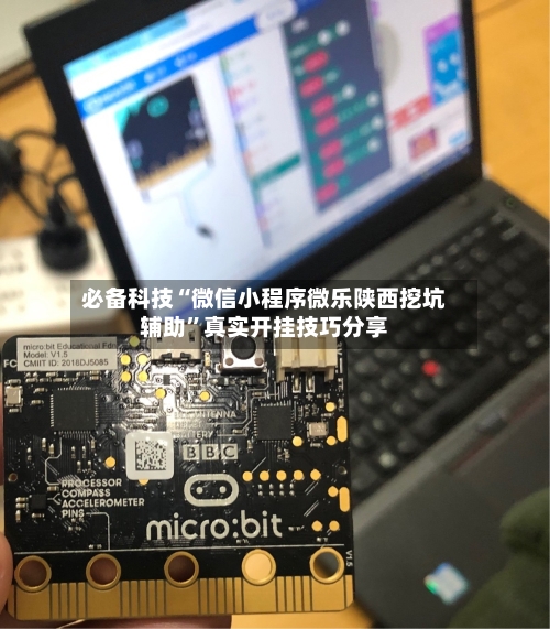 必备科技“微信小程序微乐陕西挖坑辅助	”真实开挂技巧分享-第1张图片