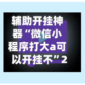 辅助开挂神器“微信小程序打大a可以开挂不”2026透视开挂-第1张图片