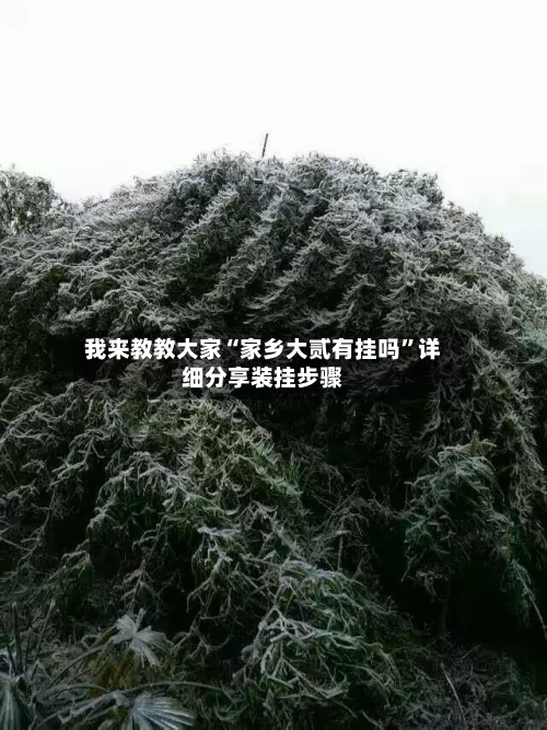 我来教教大家“家乡大贰有挂吗”详细分享装挂步骤-第1张图片