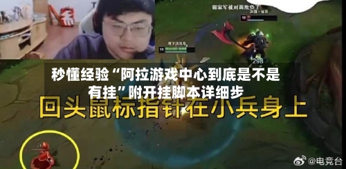 秒懂经验“阿拉游戏中心到底是不是有挂”附开挂脚本详细步-第1张图片