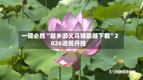 一键必胜“越乡游义乌辅助器下载	”2026透视开挂-第1张图片