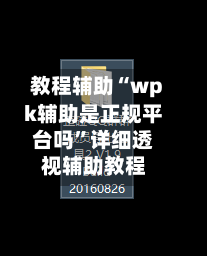 教程辅助“wpk辅助是正规平台吗	”详细透视辅助教程-第1张图片