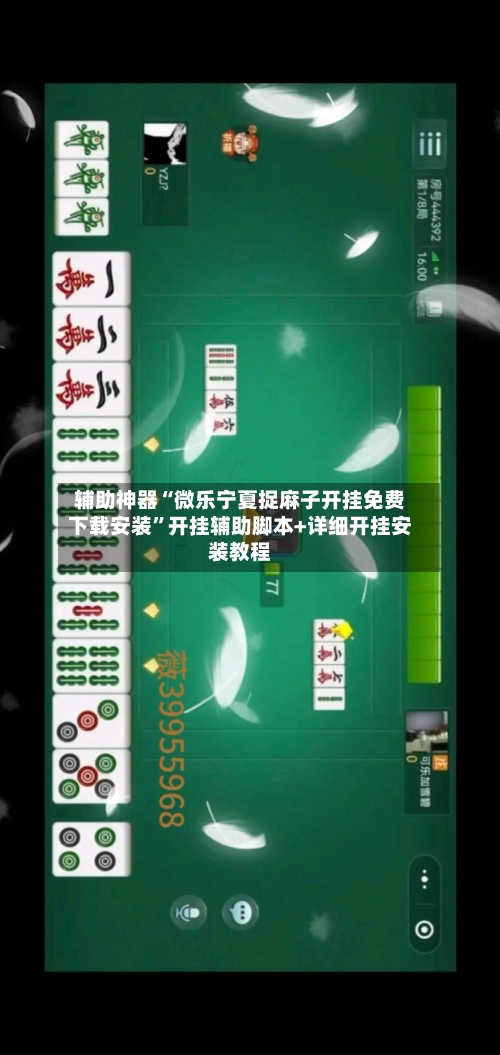 辅助神器“微乐宁夏捉麻子开挂免费下载安装”开挂辅助脚本+详细开挂安装教程-第1张图片