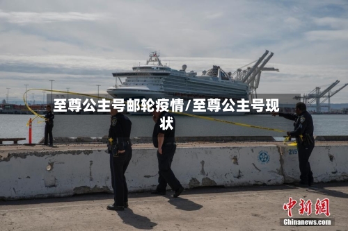 至尊公主号邮轮疫情/至尊公主号现状-第1张图片