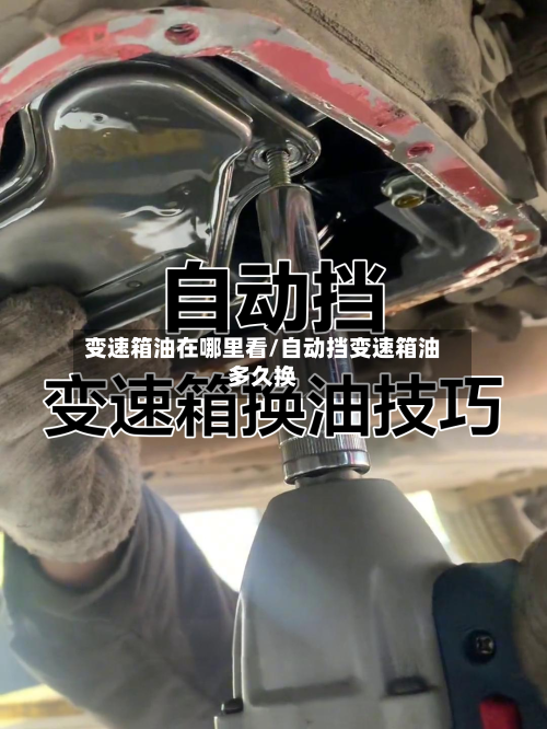 变速箱油在哪里看/自动挡变速箱油多久换-第1张图片