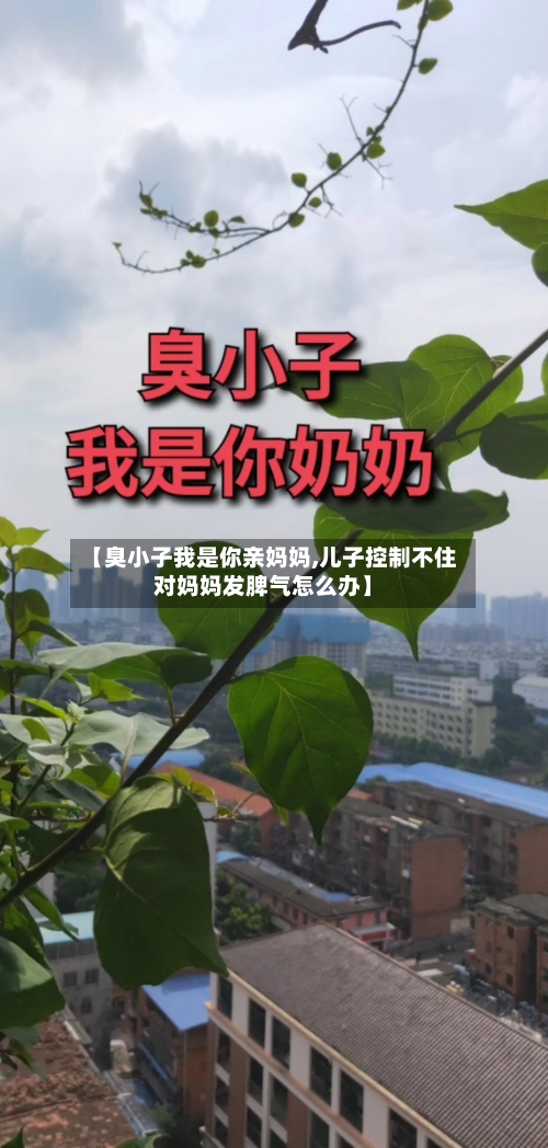 【臭小子我是你亲妈妈,儿子控制不住对妈妈发脾气怎么办】-第1张图片