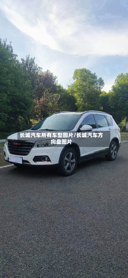 长城汽车所有车型图片/长城汽车方向盘图片-第1张图片