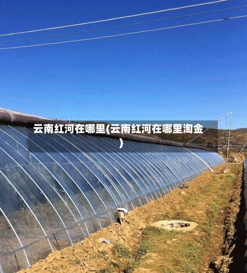 云南红河在哪里(云南红河在哪里淘金)-第1张图片