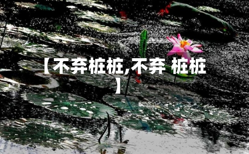 【不弃桩桩,不弃 桩桩】-第1张图片