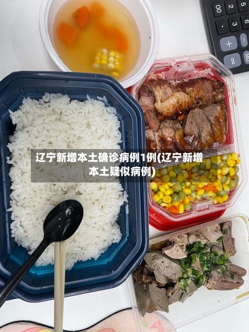 辽宁新增本土确诊病例1例(辽宁新增本土疑似病例)-第1张图片