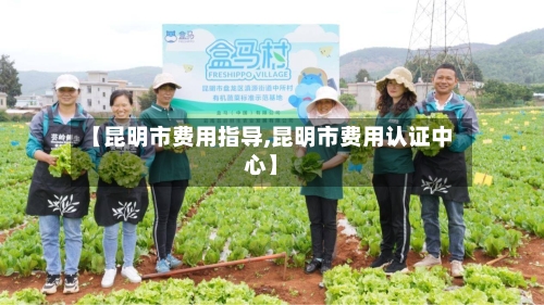 【昆明市费用指导,昆明市费用认证中心】-第1张图片