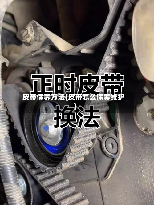 皮带保养方法(皮带怎么保养维护)-第1张图片