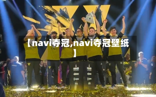 【navi夺冠,navi夺冠壁纸】-第1张图片