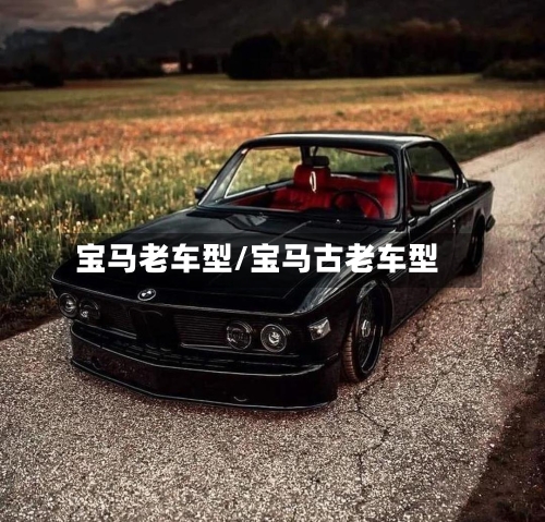宝马老车型/宝马古老车型-第1张图片