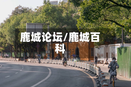 鹿城论坛/鹿城百科-第1张图片