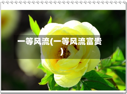 一等风流(一等风流富贵)-第1张图片