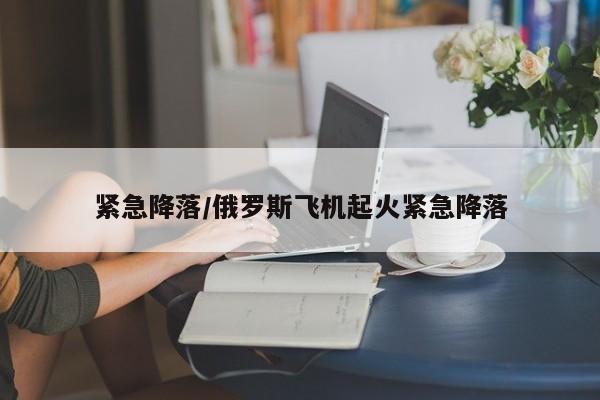 紧急降落/俄罗斯飞机起火紧急降落