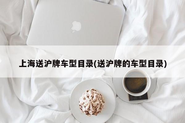 上海送沪牌车型目录(送沪牌的车型目录)