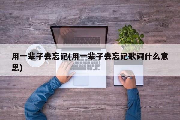 用一辈子去忘记(用一辈子去忘记歌词什么意思)