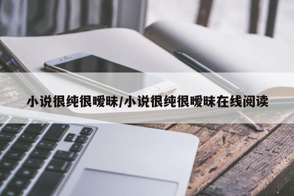小说很纯很暧昧/小说很纯很暧昧在线阅读