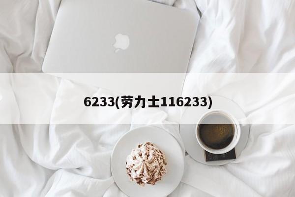 6233(劳力士116233)
