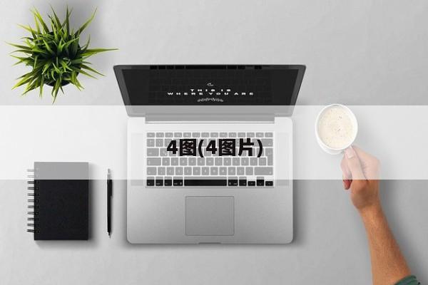 4图(4图片)